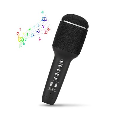 Wster Ws-900 Karaoke Mikrofon