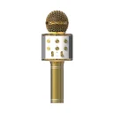 Acl BLS25 Karaoke Mikrofon (WS-858)