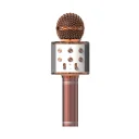 Acl BLS25 Karaoke Mikrofon (WS-858)