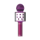 Acl BLS25 Karaoke Mikrofon (WS-858)