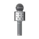 Acl BLS25 Karaoke Mikrofon (WS-858)