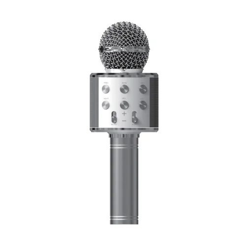 Acl BLS25 Karaoke Mikrofon (WS-858)