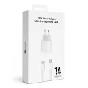 20W (25W) Type-C Başlık | 1M Type-C to Lightning Kablo