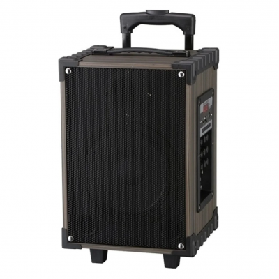 BTS-2229 Profesyonel Valiz Speaker 12'' | Karaoke | Kablosuz Mikrofon