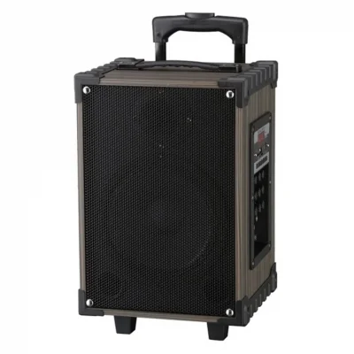 BTS-2229 Profesyonel Valiz Speaker 12'' | Karaoke | Kablosuz Mikrofon