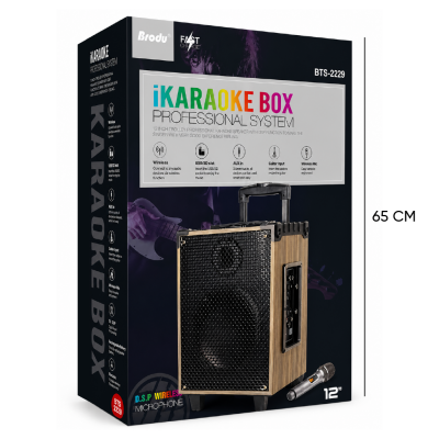 BTS-2229 Profesyonel Valiz Speaker 12'' | Karaoke | Kablosuz Mikrofon