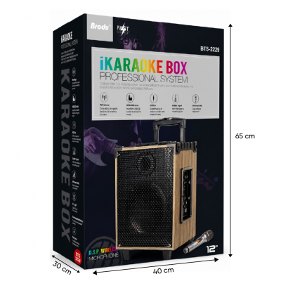 BTS-2229 Profesyonel Valiz Speaker 12'' | Karaoke | Kablosuz Mikrofon