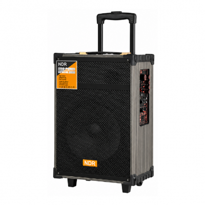 Carboon NDR-C12 Profesyonel Valiz Speaker 12'' | Kumanda | Çift Mikrofon