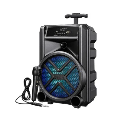 GTS-1630 Valiz Speaker 8'' | Kablolu Mikrofon