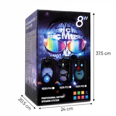 NDR-P66 Bluetooth Speaker 8'' | Mikrofon | Kumanda