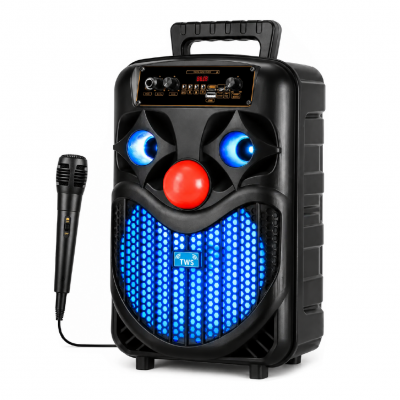 NDR-P66 Bluetooth Speaker 8'' | Mikrofon | Kumanda