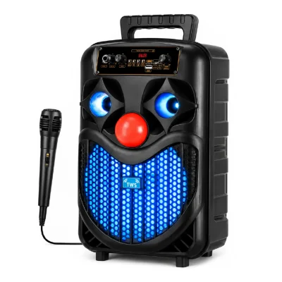 NDR-P66 Bluetooth Speaker 8'' | Mikrofon | Kumanda