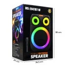 Polygold MS-2047W RGB TWS Bluetooth Karaoke Speaker 8" | Kablosuz Mikrofon