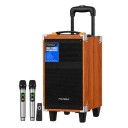 Polygold PG-BQ8 6000W Valiz Speaker 8'' | Kumanda | 2 x Kablosuz Mikrofon
