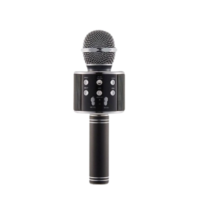 PSL 1858 Karaoke Mikrofon