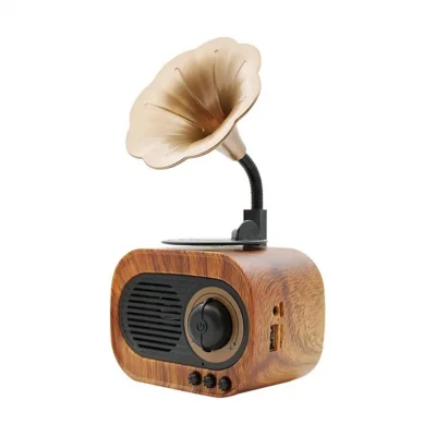 B5 Nostaljik Mini Gramofon Radyo Bluetooth Speaker