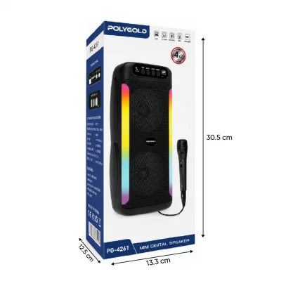 Polygold PG-4261 Bluetooth Speaker | Rgb Ledli 2x4'' | Mikrofonlu