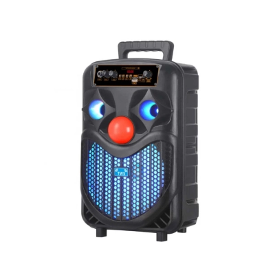 NDR-P66 Bluetooth Speaker 8'' | Mikrofon | Kumanda