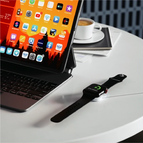 ACL ACK-112 Akıllı Saat Manyetik Şarj Kablosu | 2.5Watt | Type-C Kablo