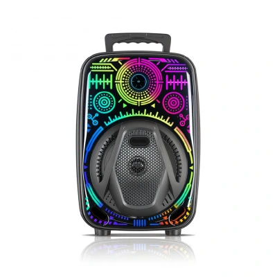 Leerfei LF-3880 Bluetooth 8" Karaoke Speaker | Kablolu Mikrofonlu