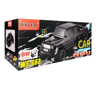Wster Ws-G63 Araba Bluetooth FM Speaker