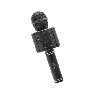 Auris Ws858 Karaoke Mikrofon