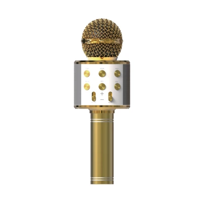 Acl BLS25 Karaoke Mikrofon (WS-858)
