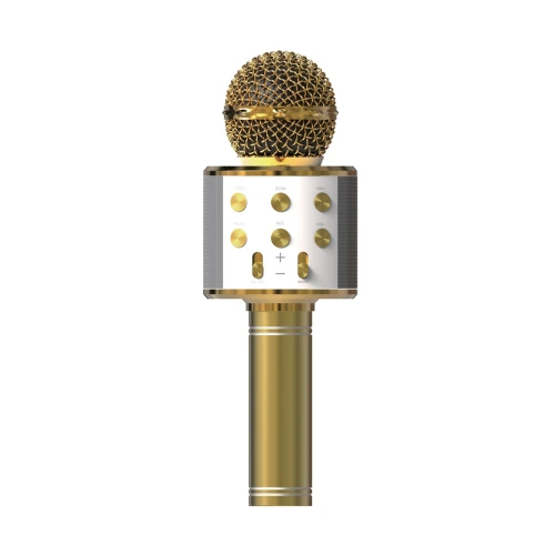 Acl BLS25 Karaoke Mikrofon (WS-858)