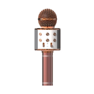 Acl BLS25 Karaoke Mikrofon (WS-858)