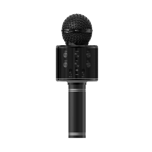 Acl BLS25 Karaoke Mikrofon (WS-858)