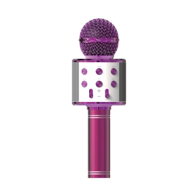 Acl BLS25 Karaoke Mikrofon (WS-858)