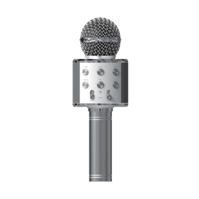 Acl BLS25 Karaoke Mikrofon (WS-858)