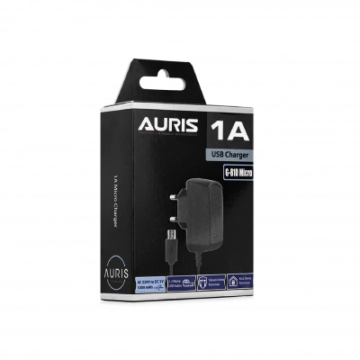 Auris ARS-CH24 Micro Kutu Şarj Aleti | G810