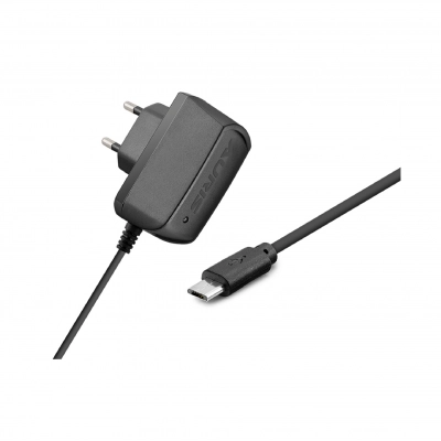 Auris ARS-CH24 Micro Kutu Şarj Aleti | G810