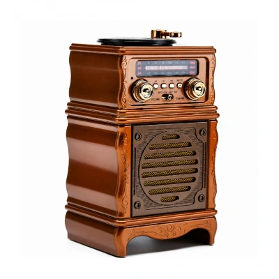 Feexot FX-2502B Bluetooth Nostalji Speaker | FM AM SW Radyo