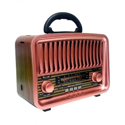 Golon RX-BT929SQ Solar Bluetooth Nostaljik TWS Speaker | FM AM SW Radyo | Uzaktan Kumandalı